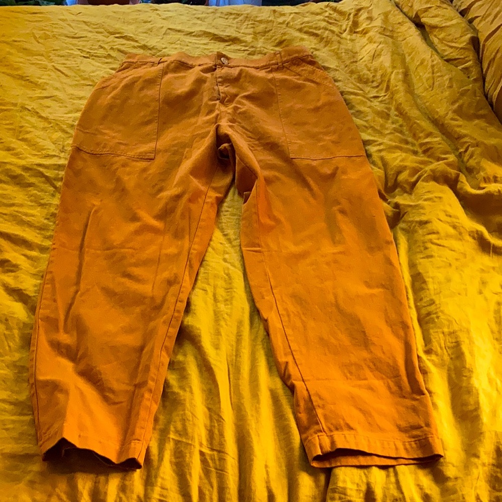 big big press pencil pants 3x